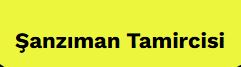 Şanzıman Tamircisi